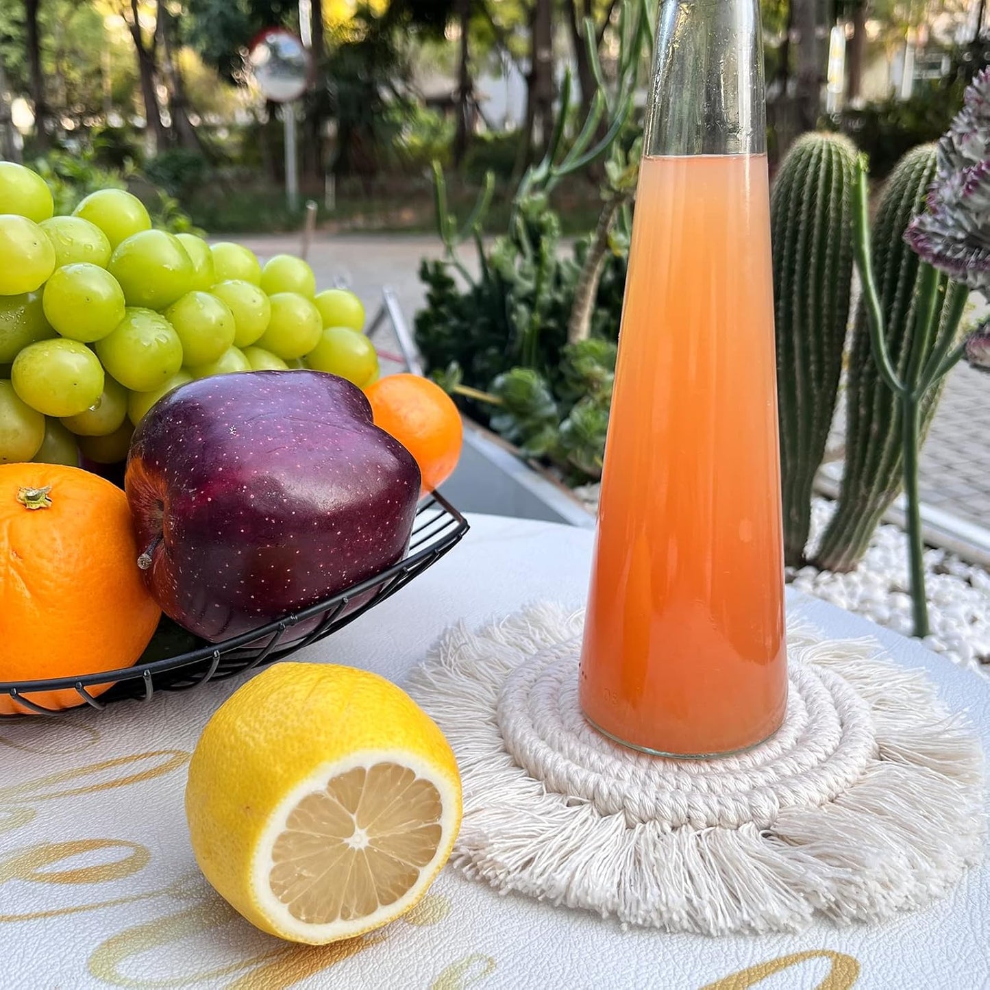 Boho Coasters Set of 2, Cute Drink Coasters Absorbent for Desk, Farmhouse Handmade Woven Macrame Coaster for Mugs Cups